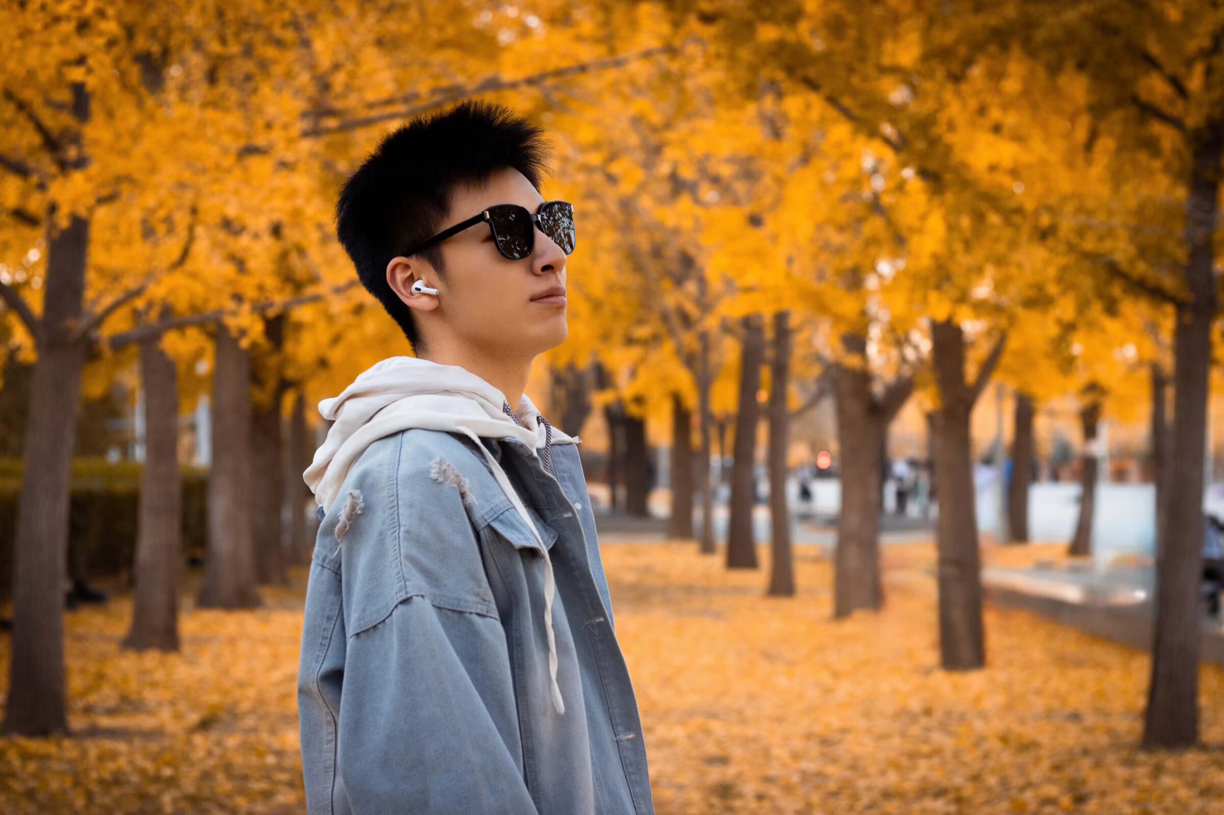 Portrait in sunglasses and a denim jacket on a path lined with golden ginkgo trees