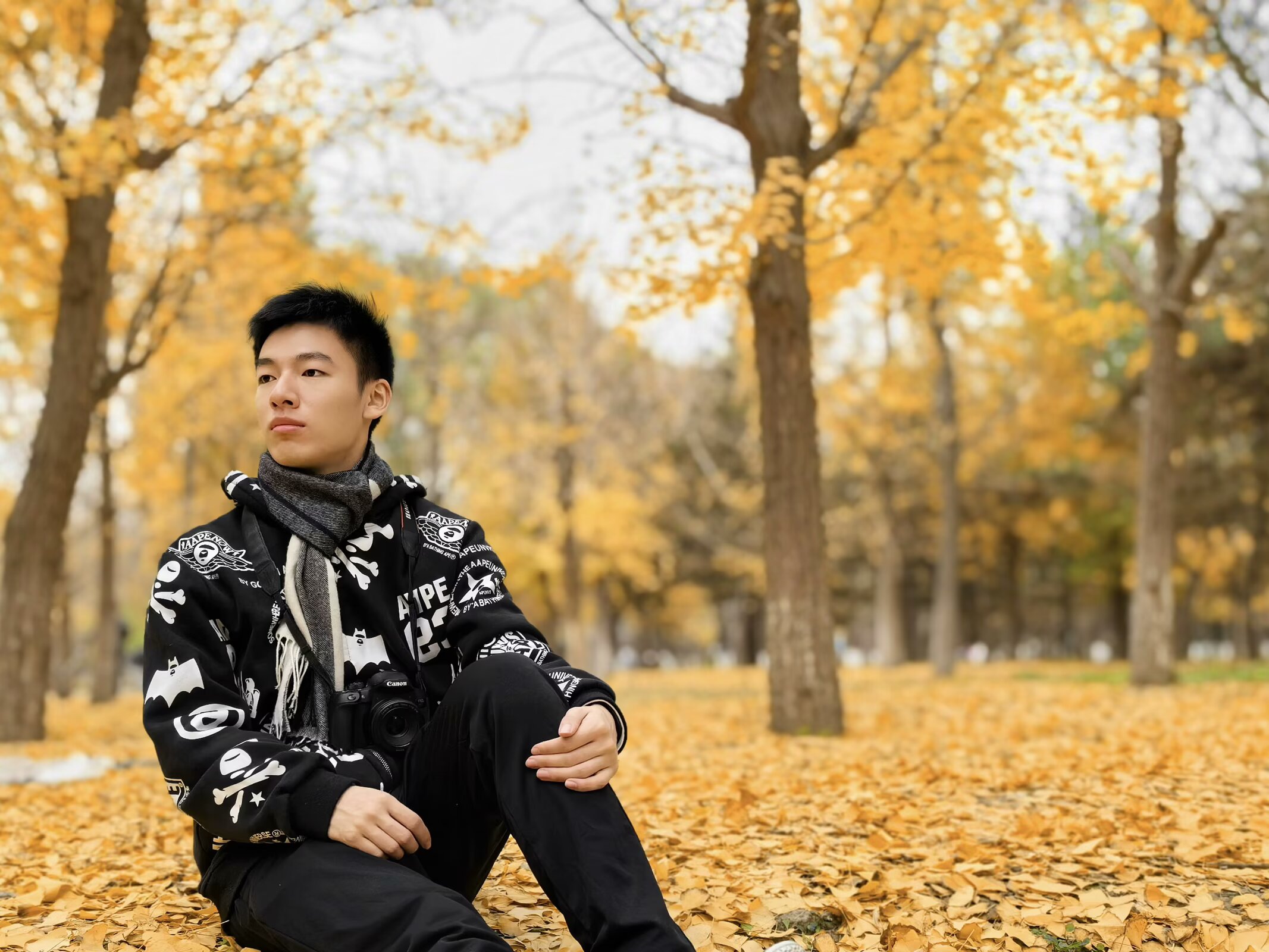 Portrait seated on fallen yellow leaves beneath ginkgo trees in autumn